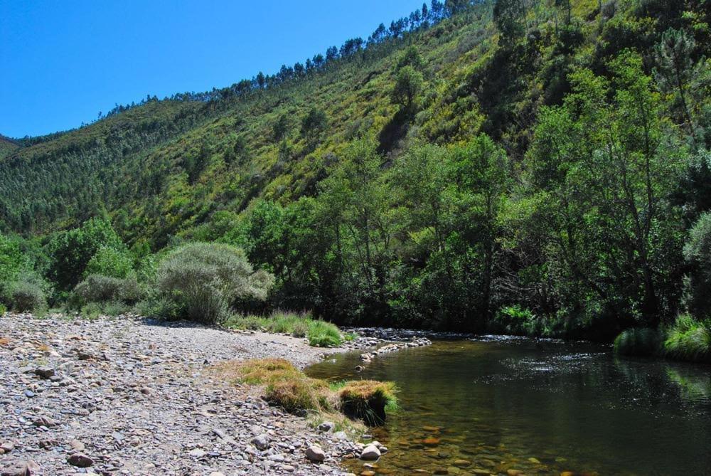 O Pardieiro - Aldeia Da Paradinha Com Praia Fluvial Экстерьер фото
